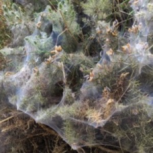 Des morceaux de Bretagne sud avec @mai_lv et @juliepetillot 👌.#france #landscape #bretagne